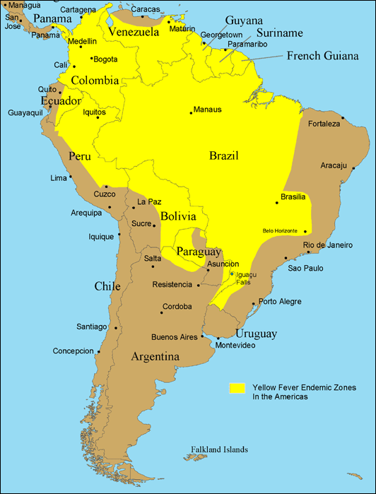 yellow fever map 2
