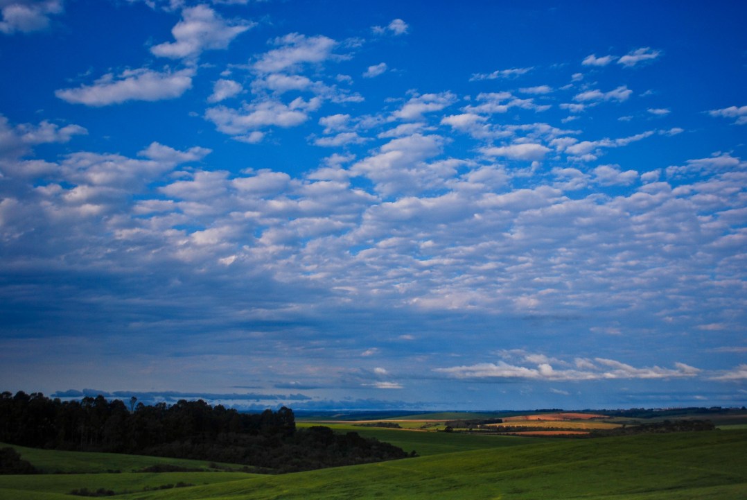 20091015-Campo Brasil 20091015-Campo Brasil